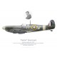 Spitfire Mk Vb AB852, F/L "Paddy" Finucane, No 452 Squadron RAAF, 1941