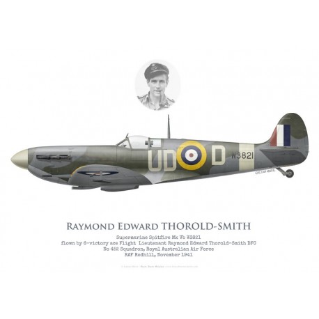Spitfire Mk Vb W3821, F/L Raymond Thorold-Smith DFC, No 452 Squadron RAAF, 1941