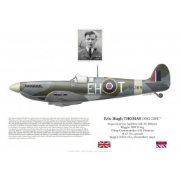 Eric Thomas DSO DFC, Spitfire Mk IX BR369, OC Biggin Hill Wing RAF, 1942