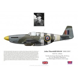 John Shaw DSO DFC, Mustang Mk III FZ114, No 122 (Bombay) Squadron RAF, 1944