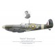 Spitfire Mk Vb AB852, F/L "Paddy" Finucane, No 452 Squadron RAAF, 1941
