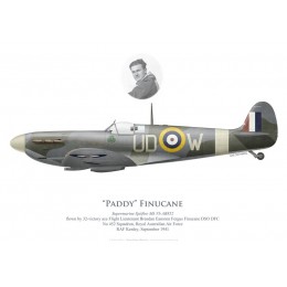 Spitfire Mk Vb AB852, F/L "Paddy" Finucane, No 452 Squadron RAAF, 1941