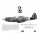 William Gilmour DFC DFM, Mustang Mk III FB201, No 19 Squadron RAF, 1944