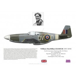 William Gilmour DFC DFM, Mustang Mk III FB201, No 19 Squadron RAF, 1944