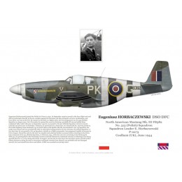 Eugeniusz Horbaczewski DSO DFC, Mustang Mk III FB382, No 315 (Polish) Squadron RAF, 1944