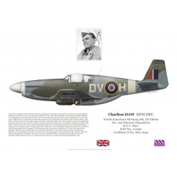 Charlton "Wag" Haw DFM DFC, Mustang Mk III FB169, No 129 Squadron RAF, 1944