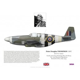 Charlton "Wag" Haw DFM DFC, Mustang Mk III FB169, No 129 Squadron RAF, 1944
