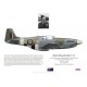 Barry Gale DFC, Mustang Mk III KH495, OC No 165 Squadron RAF, 1945