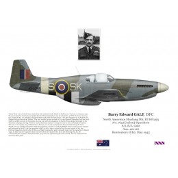 Barry Gale DFC, Mustang Mk III KH495, OC No 165 Squadron RAF, 1945