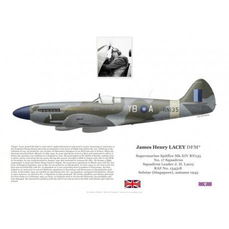S/L James Lacey, Spitfire Mk XIV RN135, No 17 Squadron RAF, Singapoure, 1945