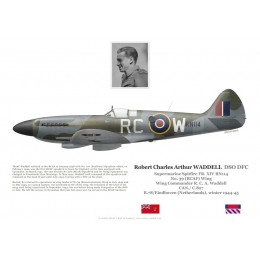 Robert Waddell DSO DFC, Spitfire Mk XIV RN114, No 39 (RCAF) Wing, 1944-1945