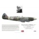 Robert Oxspring DFC, Spitfire Mk XIV NH714, OC No 24 Wing, 1944