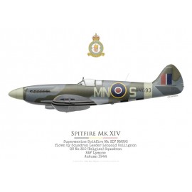 Spitfire Mk XIV RM693, Léopold Collignon, OC No 350 (Belgian) Squadron RAF, autumn 1944
