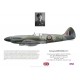 S/L Terence Spencer, Spitfire Mk XIV NH689, No 350 (Belgian) Squadron, 1945
