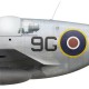 Roy Walker, Mustang Mk III HB876, OC No 441 Squadron RCAF, 1945