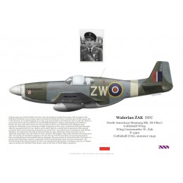 Walerian Żak DFC, Mustang Mk III FB217, OC Coltishall Wing, 1945