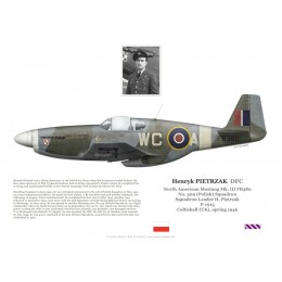 Henryk Pietrzak DFC, Mustang Mk III FB380, No 309 (Polish) Squadron RAF, 1946