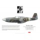 Stanisław Łapka, Mustang Mk III FZ180, OC No 306 (Polish) Squadron RAF, 1944