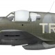 Tadeusz Rolski, Mustang Mk III HB822, OC No 133 (Polish) Wing RAF, 1945