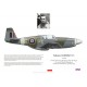 Tadeusz Andersz DFC, Mustang Mk III FB357, OC No 315 (Polish) Squadron RAF, 1945