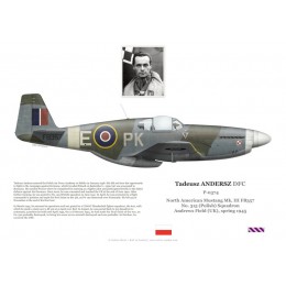 Tadeusz Andersz DFC, Mustang Mk III FB357, OC No 315 (Polish) Squadron RAF, 1945