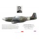 Józef Żulikowski DFC, Mustang Mk III KH507, OC No 306 (Polish) Squadron RAF, 1945