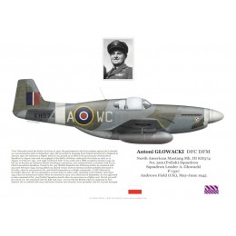 Antoni Głowacki DFC DFM, Mustang Mk III KH574, OC No 309 (Polish) Squadron RAF, 1945