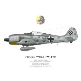 Focke-Wulf Fw 190A-6, Hptm. Friedrich-Karl Müller, JG 300