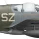 Zygmunt Drybański, Mustang Mk III SR439, OC No 316 (Polish) Squadron RAF, 1945