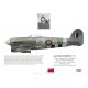 Jack Beirnes DFC, Typhoon Mk Ib MM959, OC No 438 Squadron RCAF, 1944