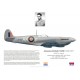 Johannes Morkel Faure DSO DFC*, Spitfire Mk VIII JF421, No 1 Squadron SAAF, 1943