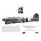 Charles Green DSO DFC, Typhoon Mk Ib MN666, OC No 121 Wing RAF, 1944