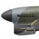 Charles Green DSO DFC, Typhoon Mk Ib MN666, OC No 121 Wing RAF, 1944