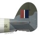 Charles Green DSO DFC, Typhoon Mk Ib MN666, OC No 121 Wing RAF, 1944