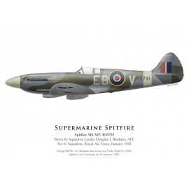 Spitfire Mk XIV RM791, S/L Douglas Benham, No 41 Squadron, Royal Air Force, janvier 1945