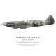 Spitfire Mk XIV RM791, S/L Douglas Benham, No 41 Squadron, Royal Air Force, janvier 1945