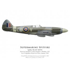 Spitfire Mk XIV RM791, S/L Douglas Benham, No 41 Squadron, Royal Air Force, janvier 1945 (coté droit)