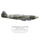 Spitfire Mk XIV RM791, S/L Douglas Benham, No 41 Squadron, Royal Air Force, janvier 1945