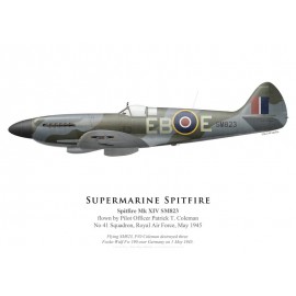 Spitfire Mk XIV SM823, P/O Patrick Coleman, No 41 Squadron, Royal Air Force, mai 1945