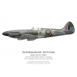 Spitfire Mk XIV SM823, P/O Patrick Coleman, No 41 Squadron, Royal Air Force, May 1945