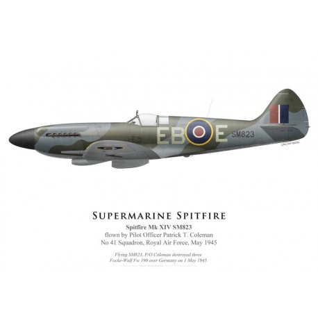 Spitfire Mk XIV SM823, P/O Patrick Coleman, No 41 Squadron, Royal Air Force, May 1945