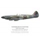 Spitfire Mk XIV SM825, S/L John Sheperd, DFC, No 41 Squadron, Royal Air Force, avril 1945