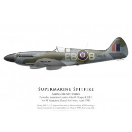 Spitfire Mk XIV SM825, S/L John Sheperd, DFC, No 41 Squadron, Royal Air Force, April 1945