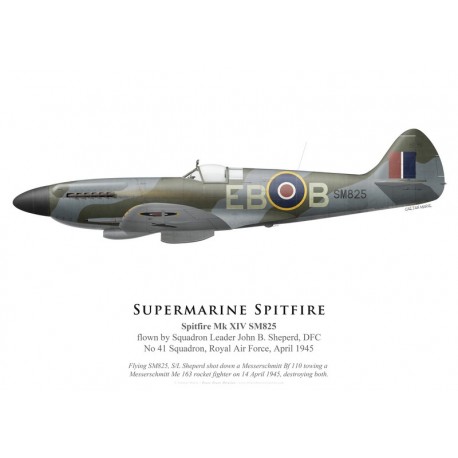 Spitfire Mk XIV SM825, S/L John Sheperd, DFC, No 41 Squadron, Royal Air Force, April 1945