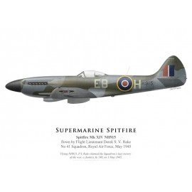 Spitfire Mk XIV NH915, F/L Derek Rake, No 41 Squadron, Royal Air Force, mai 1945