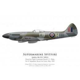 Spitfire Mk XIV NH915, F/L Derek Rake, No 41 Squadron, Royal Air Force, May 1945