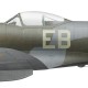 Spitfire Mk XIV NH915, F/L Derek Rake, No 41 Squadron, Royal Air Force, May 1945