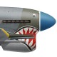 Anthony Zweigbergk DFC, Typhoon Mk Ib MP197, OC No 245 Squadron RAF, 1945