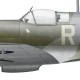 Franz Colloredo-Mansfeld DFC, Spitfire Mk V BM648, No 132 Squadron RAF, 1944