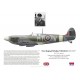 Peter Wickham DSO DFC, Spitfire Mk V AB986, No 122 Squadron RAF, 1943